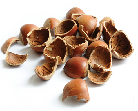 Hazelnut Shells